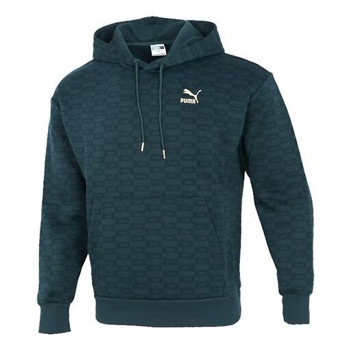 

Толстовка luxe aop full print logo knit green Puma, зеленый