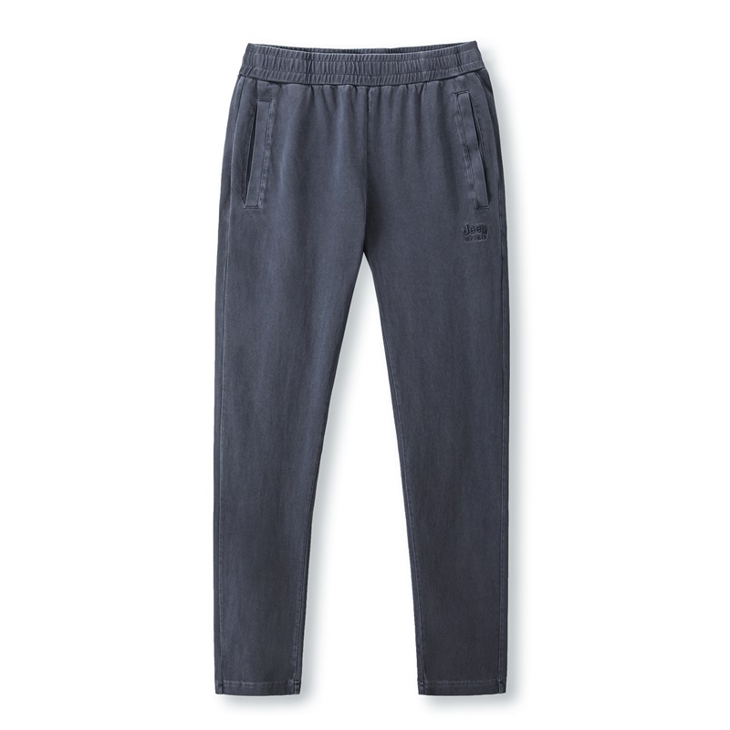 

Повседневные брюки мужские JEEP SPIRIT, темно-серый