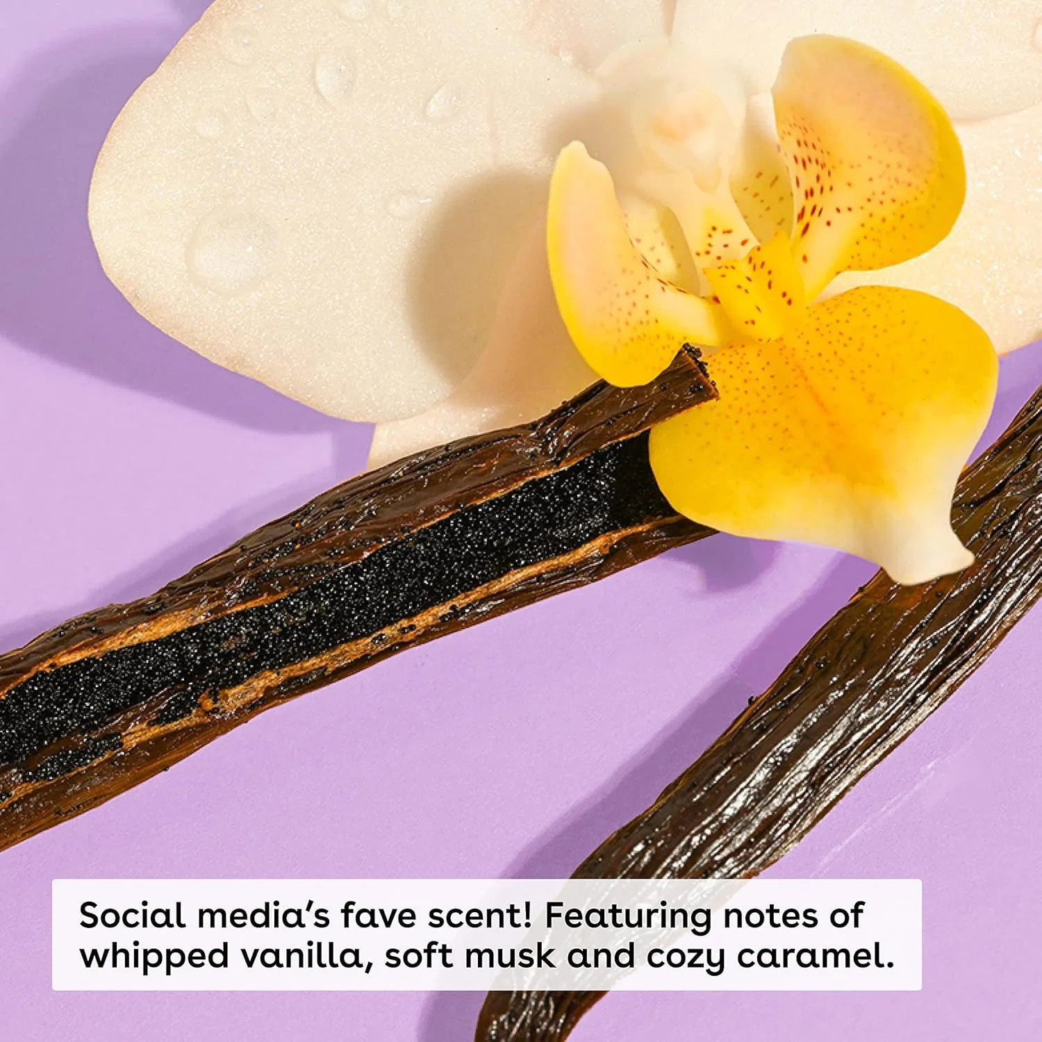 Набор для ухода за кожей «Vanilla Cashmere» от E.O.S. Luxpaks — фото 2