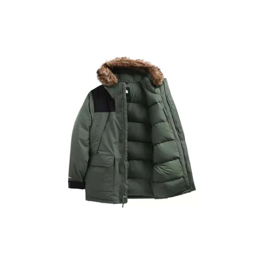 

THE NORTH FACE Парка мужская зеленая, Green WTQ