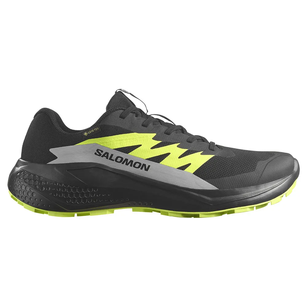 

Кроссовки Salomon Alphaglide Goretex trail, черный