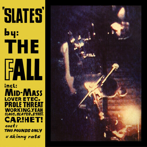 

Виниловая пластинка Fall: Slates LP