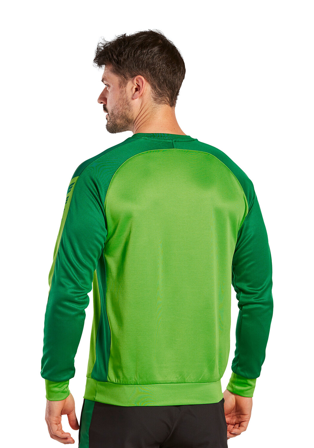 Спортивная футболка erima Six Wings Sweatshirt, цвет green/smaragd — фото 2