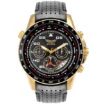 

Золотые мужские часы Aviator Nation