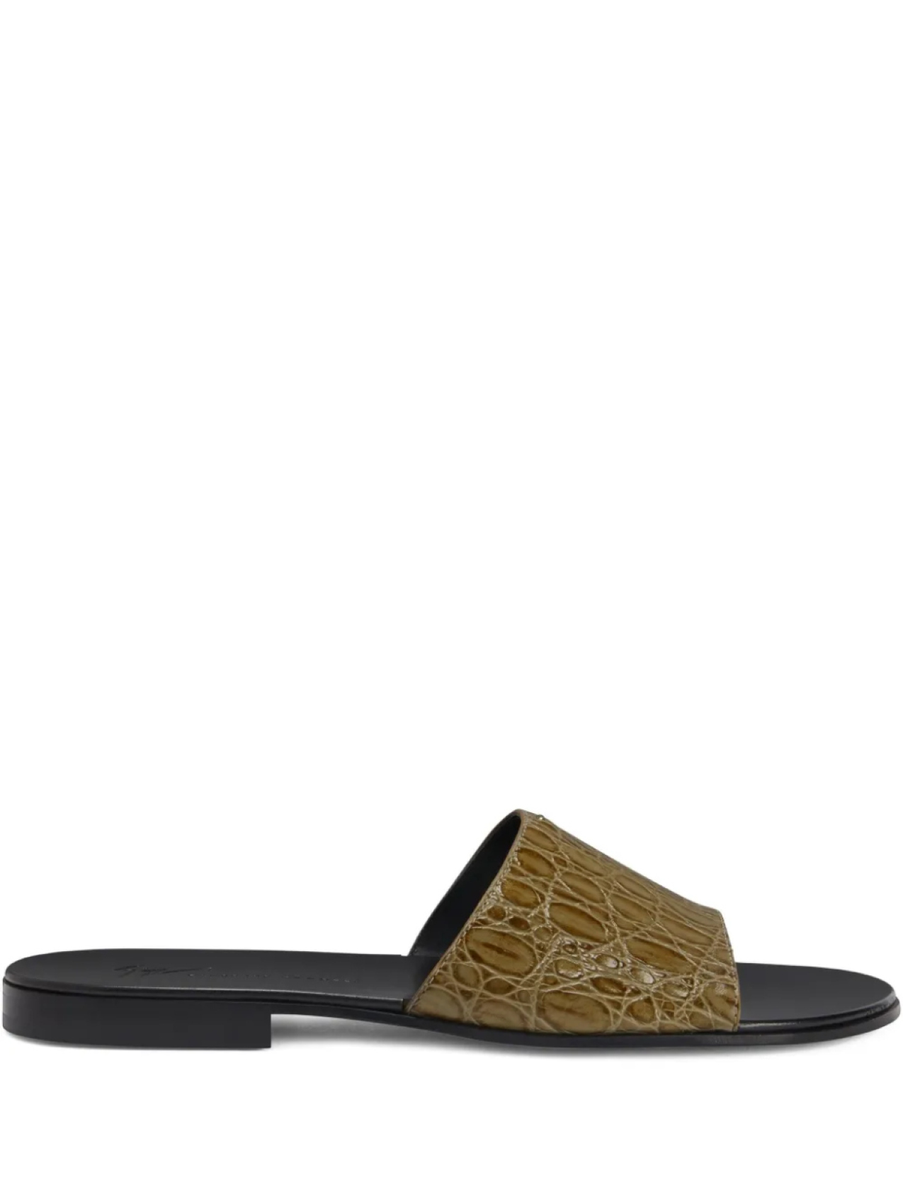 Слайды Адриана Giuseppe Zanotti, нейтральный