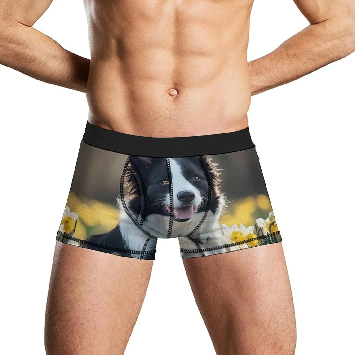 Боксеры Border Collie, Style