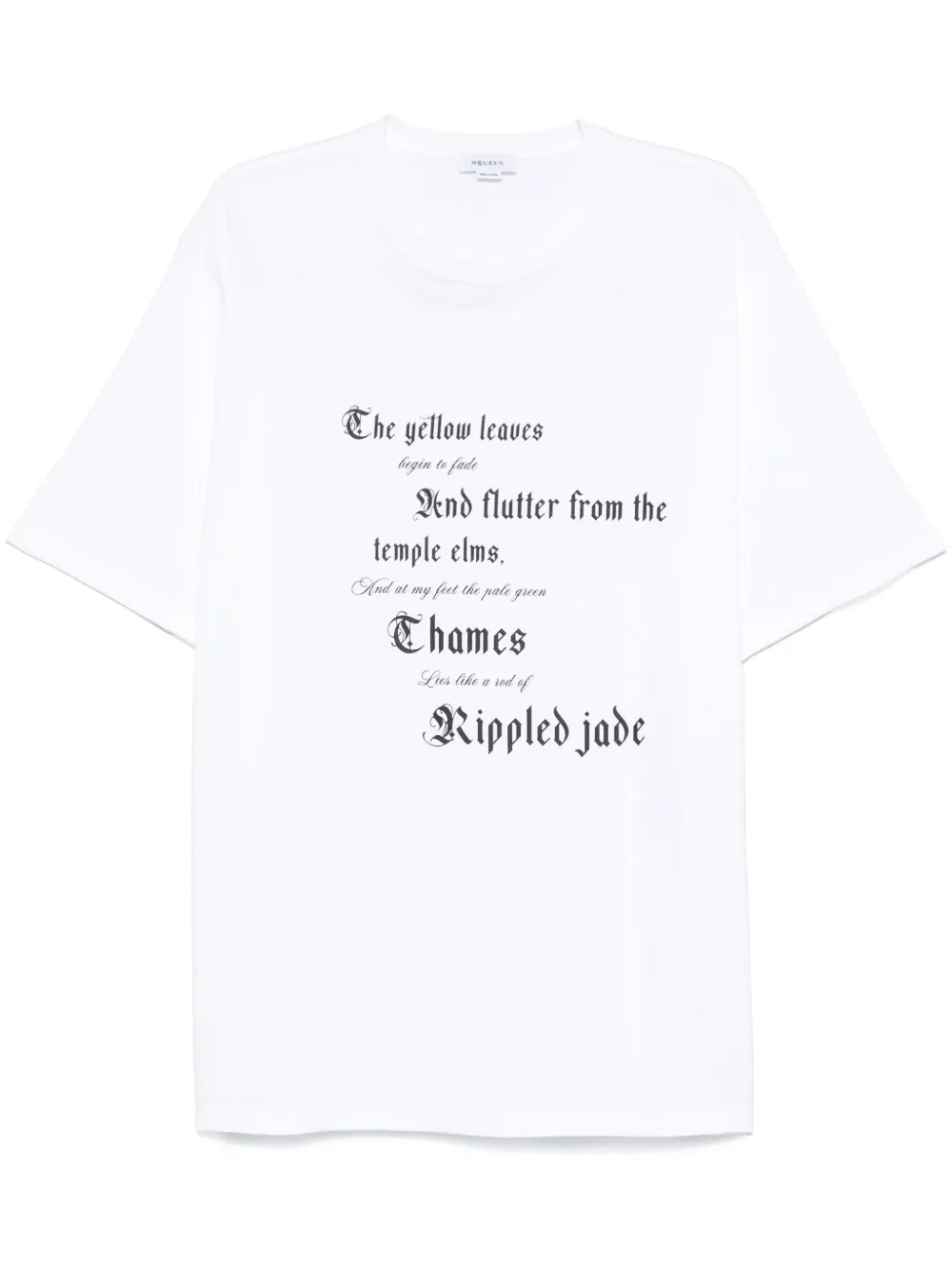 

Футболка с принтом Alexander McQueen, белый