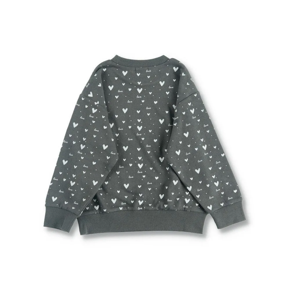 Мини-флисовая толстовка с длинным рукавом, разные цвета Branshes, Charcoal Gray — фото 2