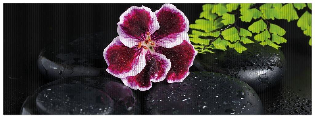 

Коврик для душа Wallario, нескользящий коврик, коврик для ванной, коврик для ног, цветы герани на черных камнях, смоченные каплями воды, размер ок. 180 х 65 см, черный