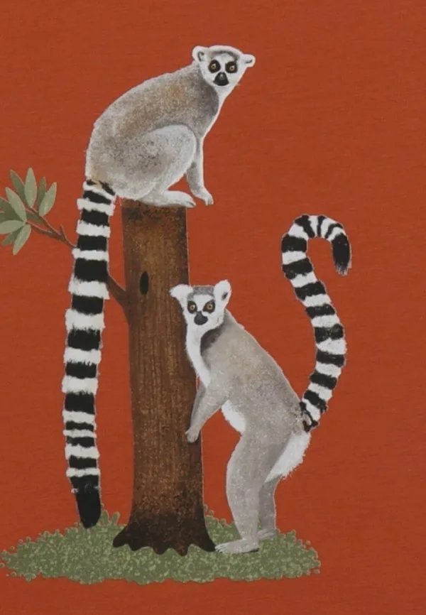 Футболка с принтом lemurst Walkiddy, Braun — фото 3