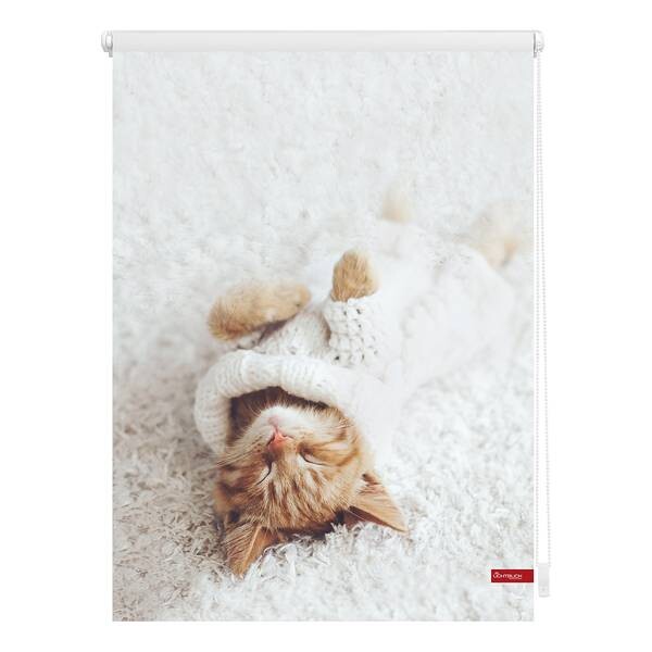 

Рулонные шторы Блэкаут twentyfour Sleepy Cat, 60x150x6 см, белый