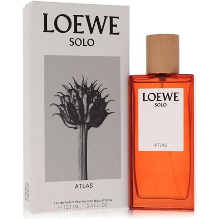 Парфюмированная вода Loewe Solo Atlas — фото 2