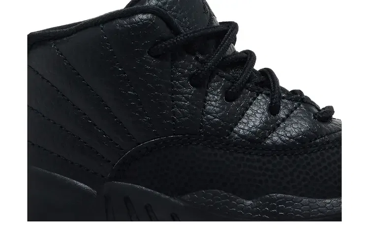 Кроссовки Air Jordan 12 Retro TD, черный — фото 2