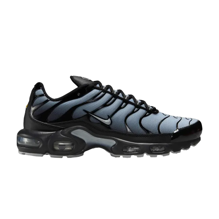 

Кроссовки Nike Air Max Plus 'Black Wolf Grey', серый