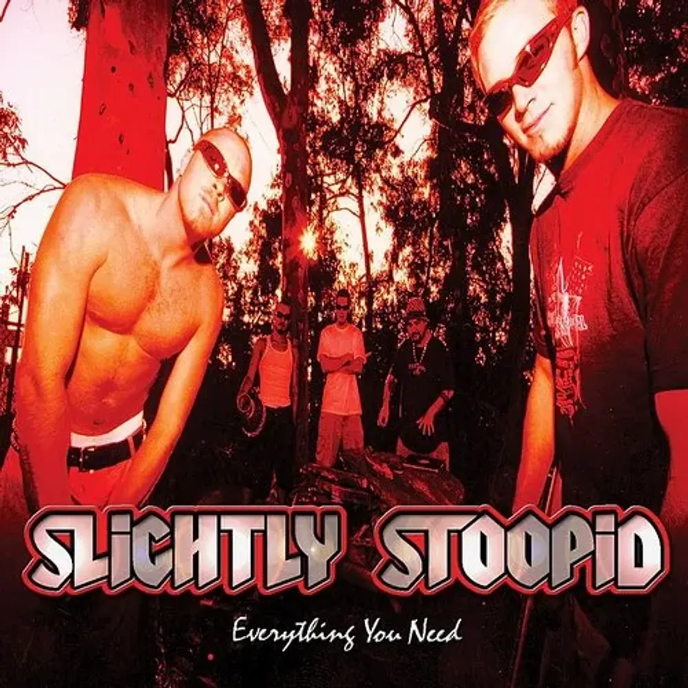 

Виниловая пластинка LP Everything You Need [Orange/Yellow Vinyl] - Slightly Stoopid