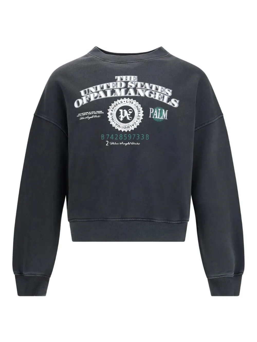 

Свитшот с принтом в виде долларов и круглым вырезом Palm Angels, черный