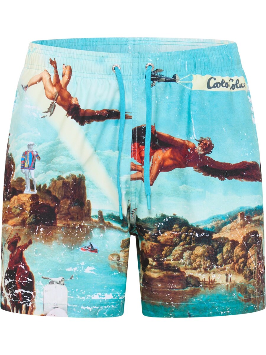 

Шорты для плавания Carlo Colucci Board Shorts, разноцветный