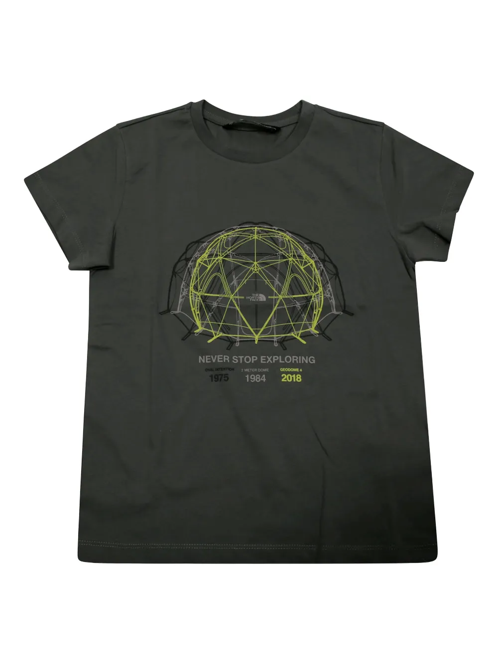 

Футболка с графическим принтом и круглым вырезом The North Face Kids, серый