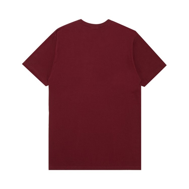 Футболка Stussy Paisley Stock 'Wine', красный — фото 2
