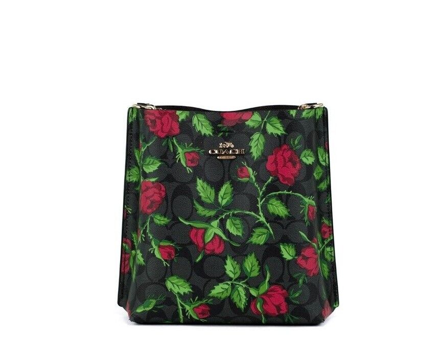 

Сумка-ведро через плечо Mollie 22 Small Fairytale Rose Coach