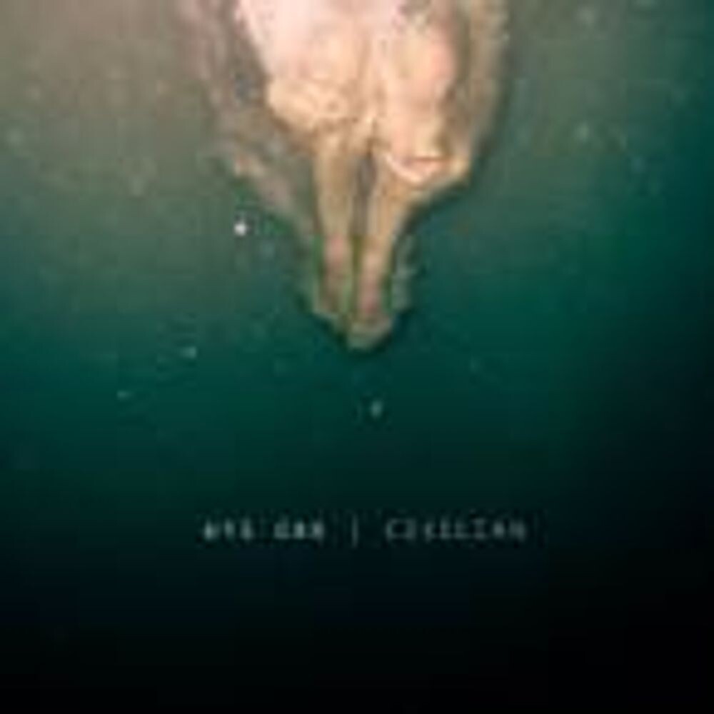 

Диск CD Civilian - Wye Oak