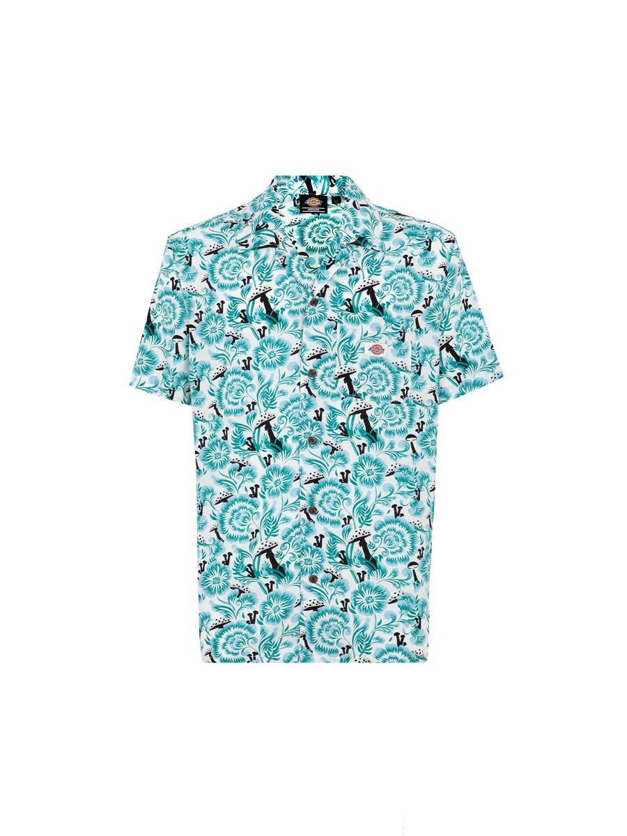 

Повседневная рубашка DICKIES Regular fit Button Up Shirt ROSEBURG, цвет blue/white