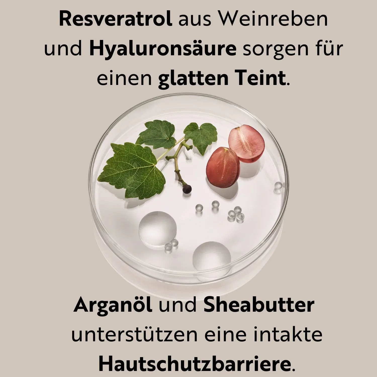Крем лифтинг-уход Resveratrol Premium NT50 M. Asam — фото 4