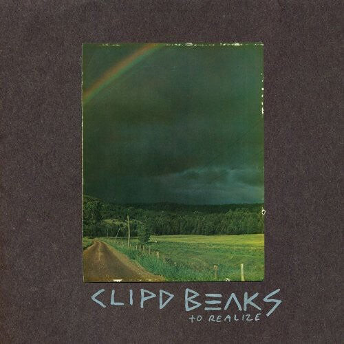 

CD диск Clipd Beaks: To Realize