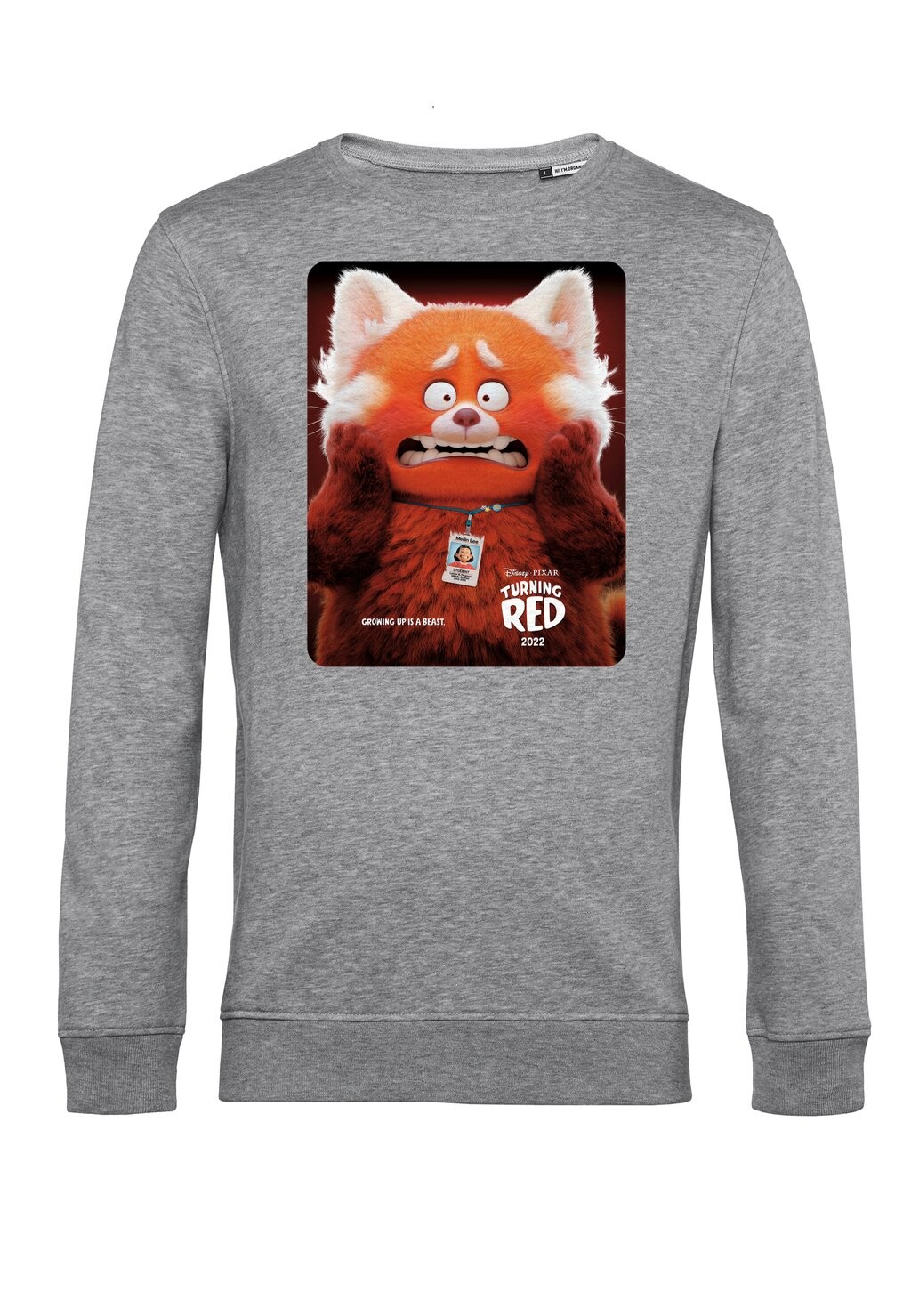 

Толстовка TURNING RED PANDA POSTER Disney, цвет Mottled Light Grey