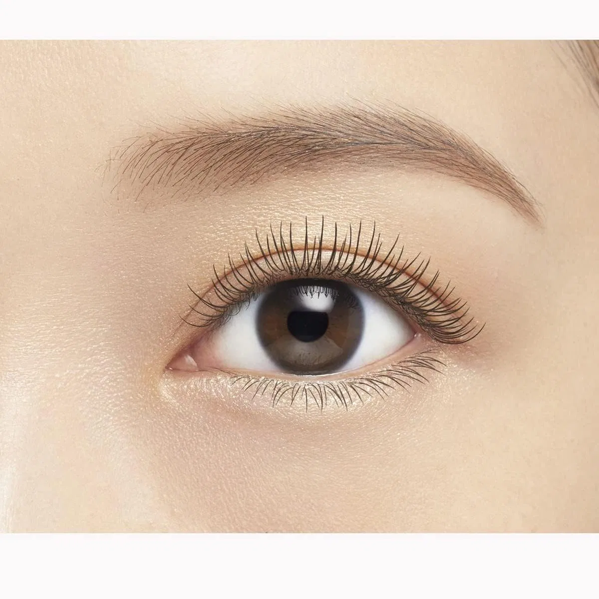 Тушь для ресниц водостойкая Heroine Make Long Up Mascara Super WP 01 Black, 6 г, набор 5 шт — фото 4