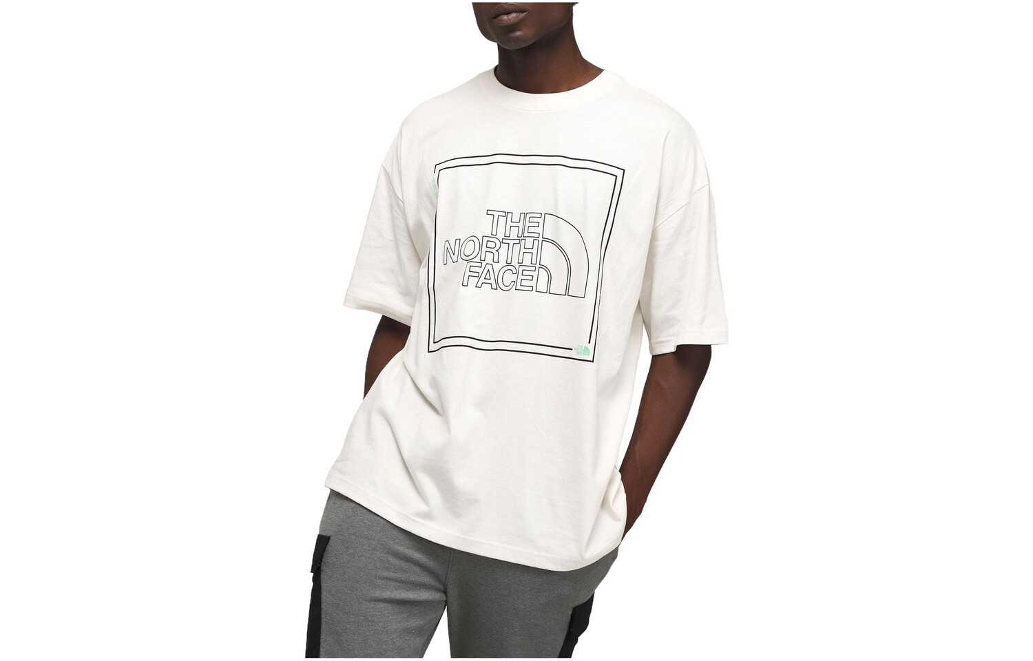 

Футболка мужская Гардения белая The North Face, цвет Gardenia white