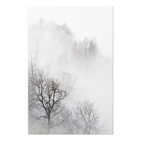 

Фреска Artgeist Trees In The Fog, черно-белый