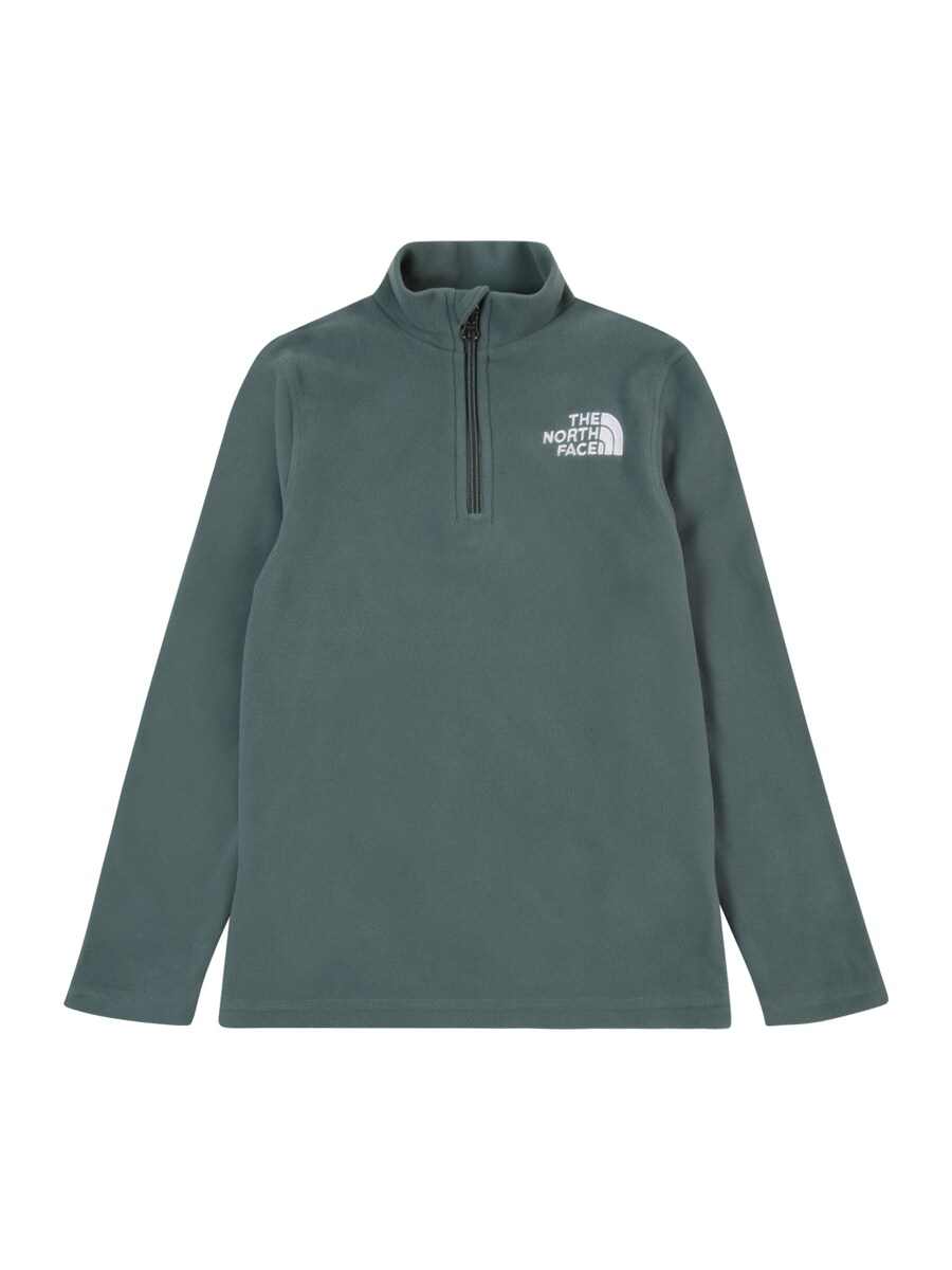 

Спортивный свитер THE NORTH FACE GLACIER, цвет Fir