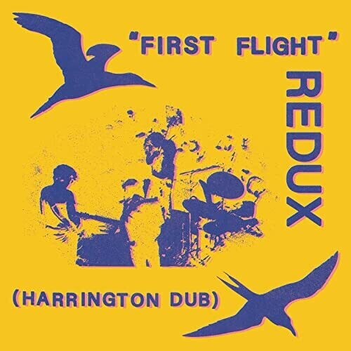 

Виниловая пластинка Forsyth, Chris: First Flight Redux (Harrington Dub)