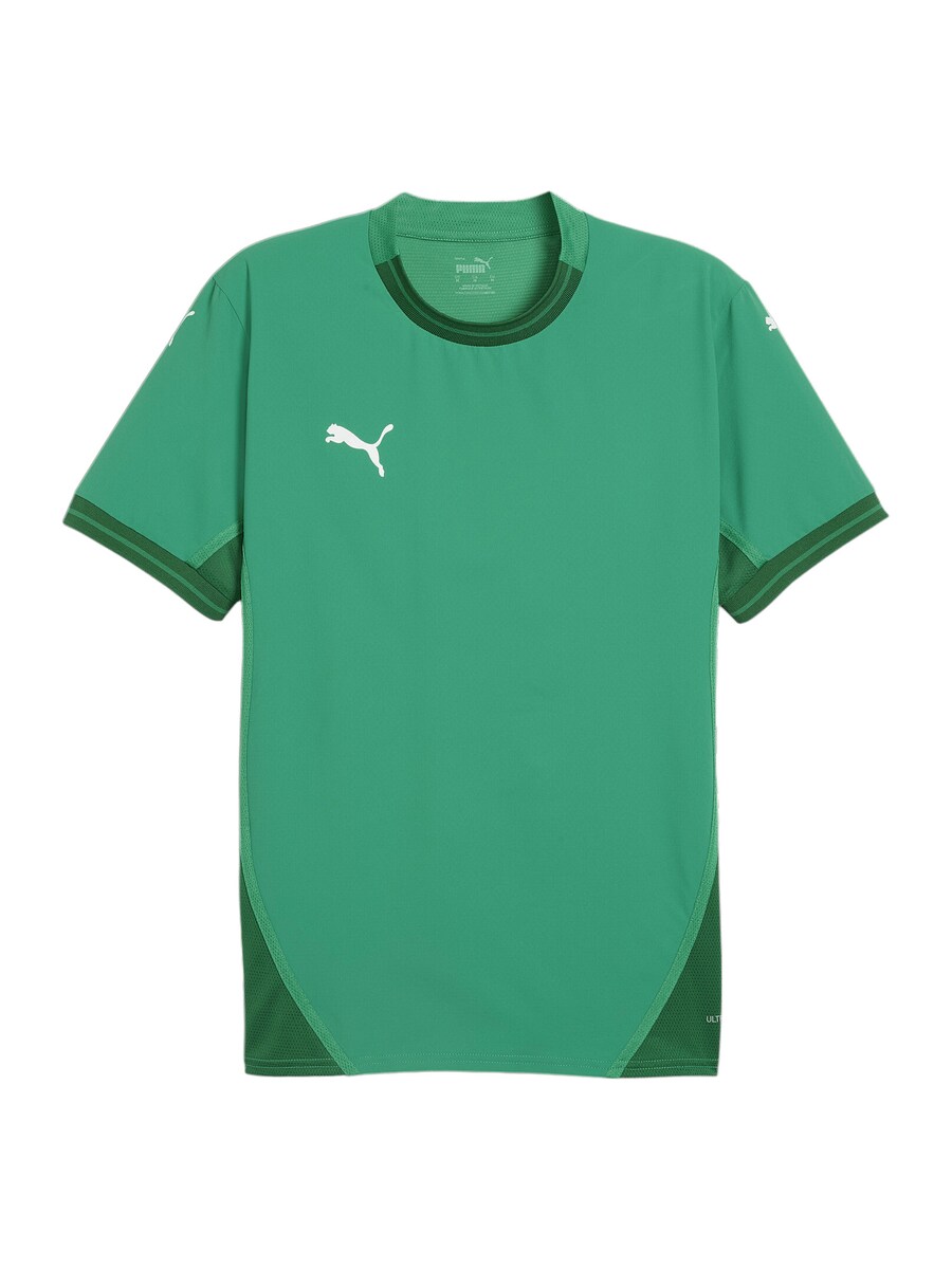 

Рубашка performance PUMA TeamFinal, цвет Fir/Dark green