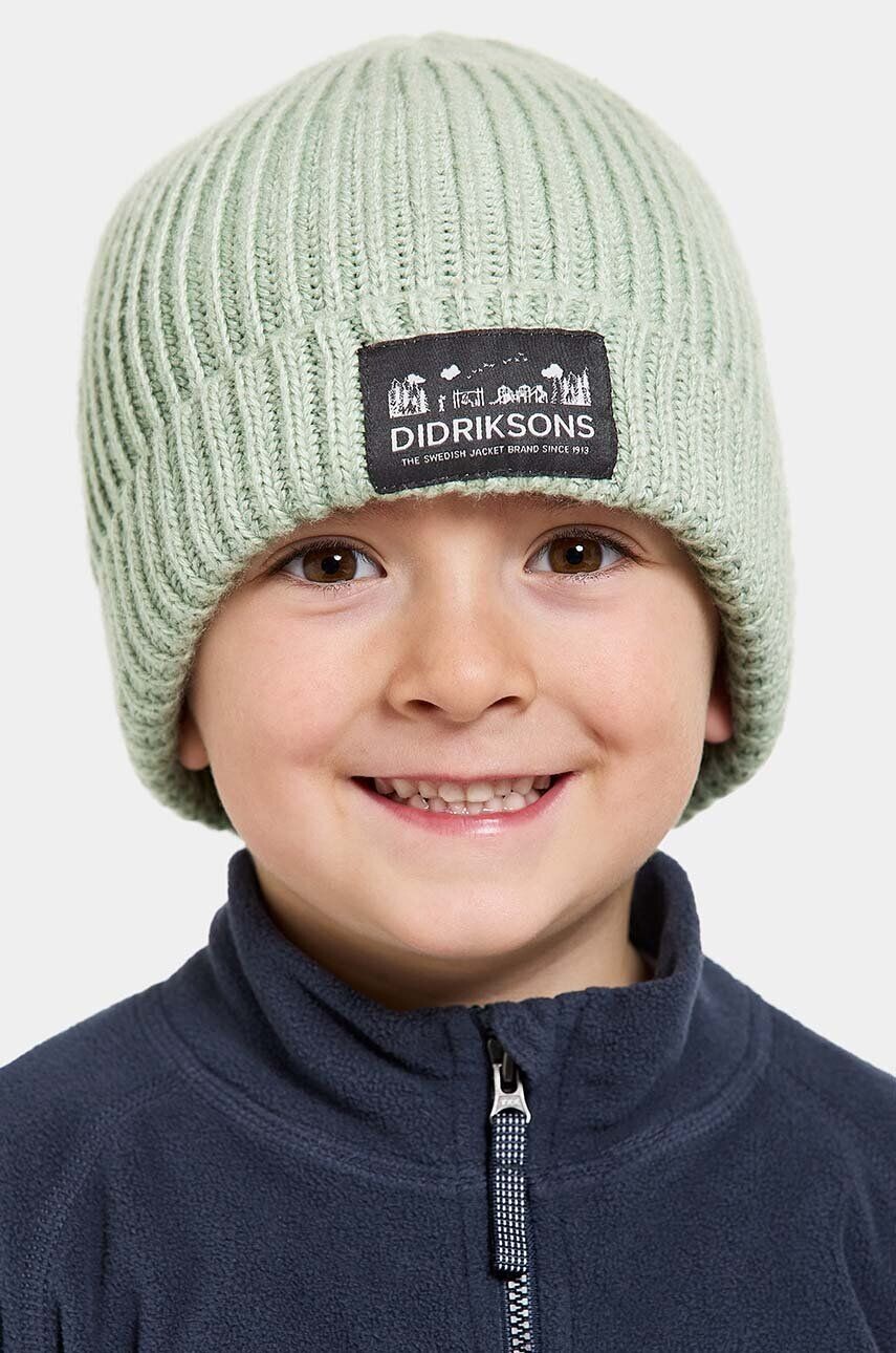 

Детская кепка Didriksons BUS KDS BEANIE, зеленый