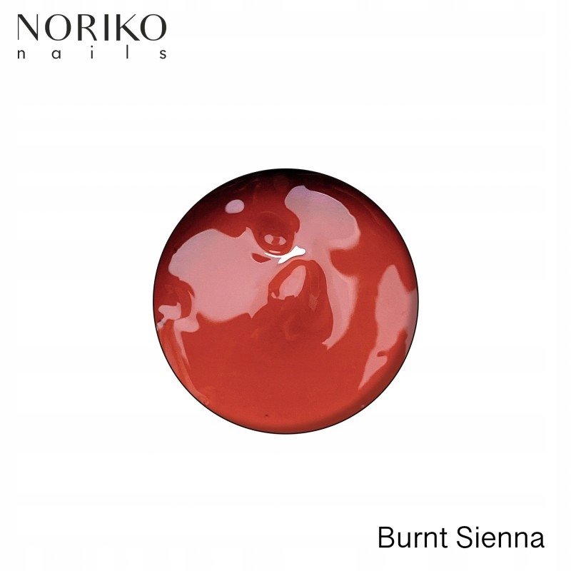

Noriko Paint Gel Burnt Sienna 5 г
