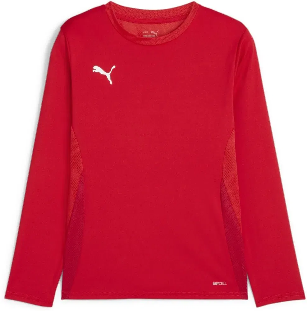 Футболка длинным рукавом TeamGoal Longsleeve Jersey Jr, Puma, красный