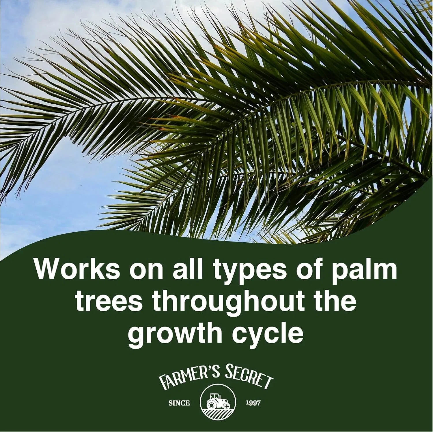 Лосьон для тела Palm Tree 8 oz Farmer's Secret — фото 4
