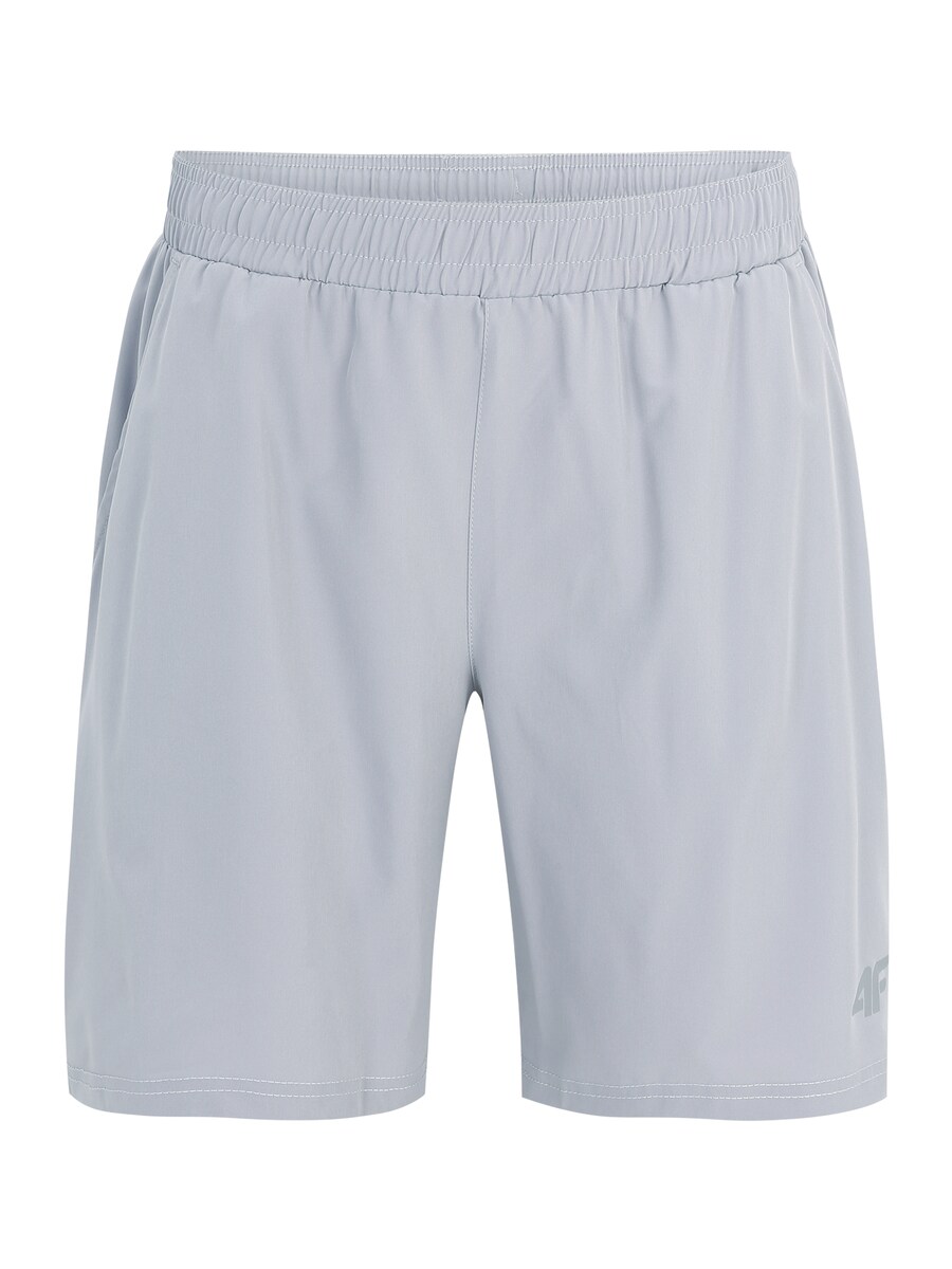 

Шорты 4F Regular Workout Pants, серый