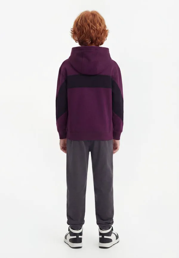 Худи с изображением трезубца меркурия Quiksilver, Potent Purple — фото 2