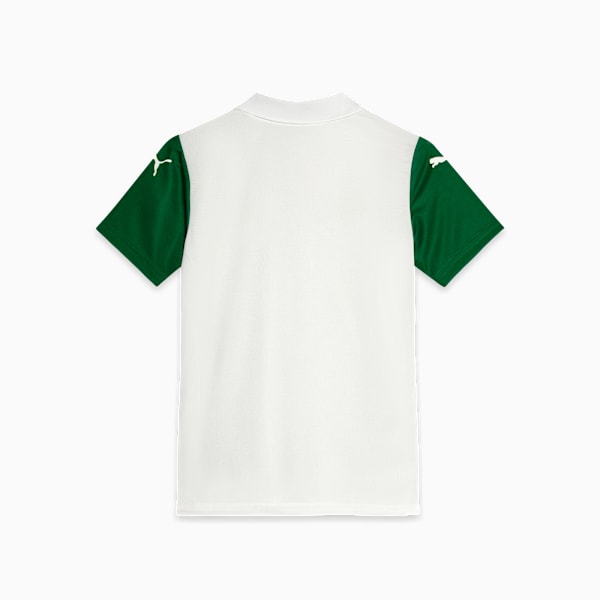 Футболка для больших детей Se Palmeiras Torcedor '25 Away Puma, белый — фото 2