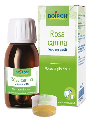 

Роза Канина Бой Мг 60 мл Инт Boiron