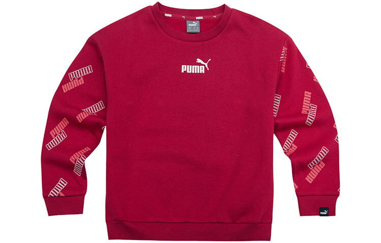 

Детская толстовка Puma, цвет Burgundy