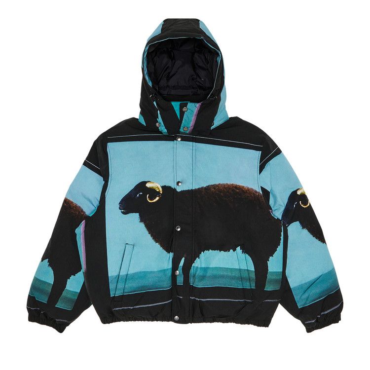 

Куртка Supreme x Damien Hirst Down Puffer Jacket, Black