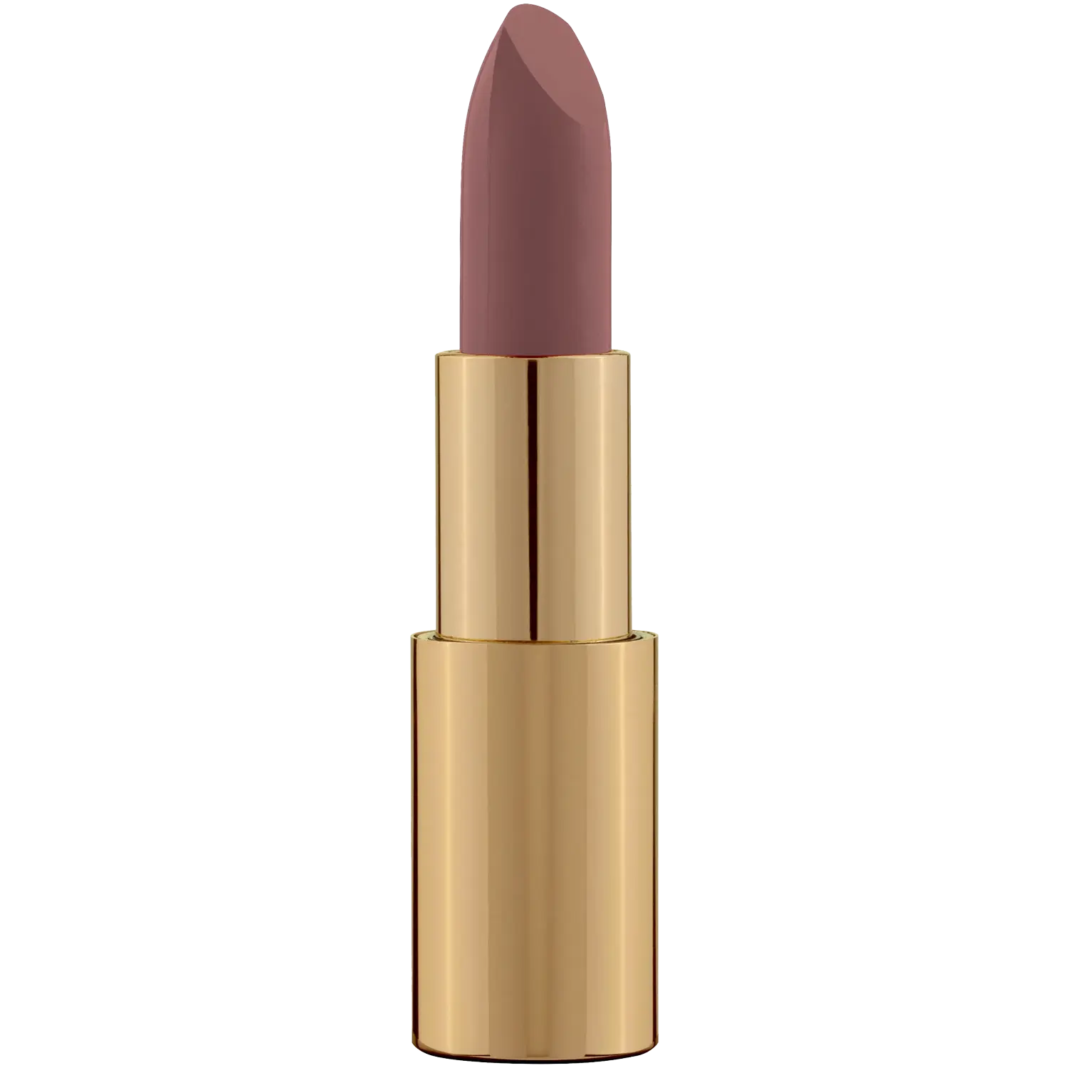 

Помада 04 Pierre René Royal Mat Lipstick, 4,8 гр