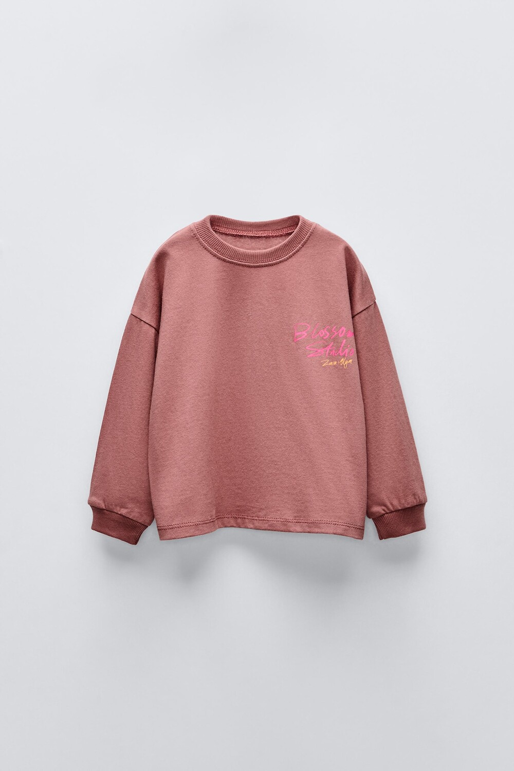 

Футболка с принтом на спине ZARA, красноватый