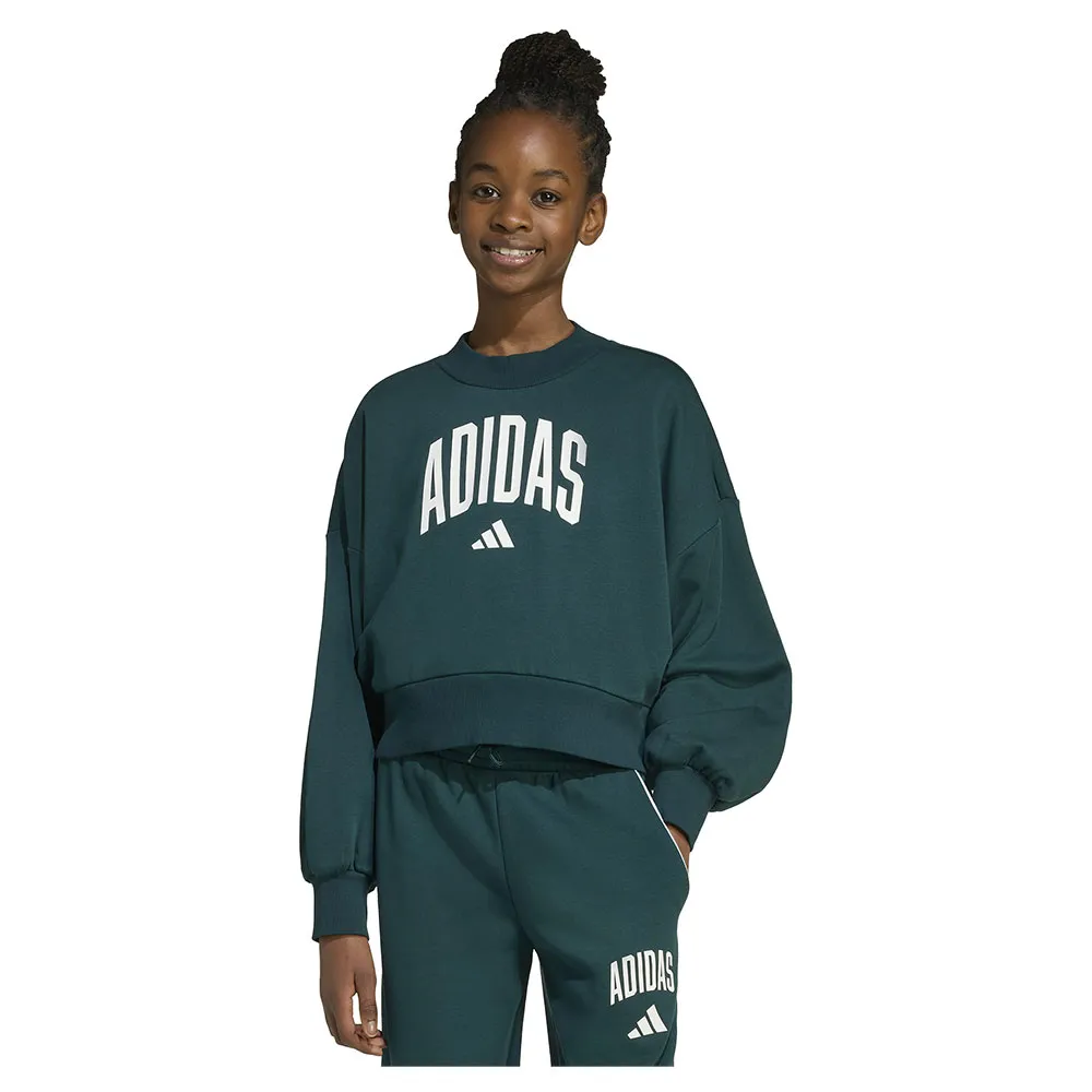 

Толстовка adidas Seasonals Essentials Collegiate Typography Crewneck, зеленый