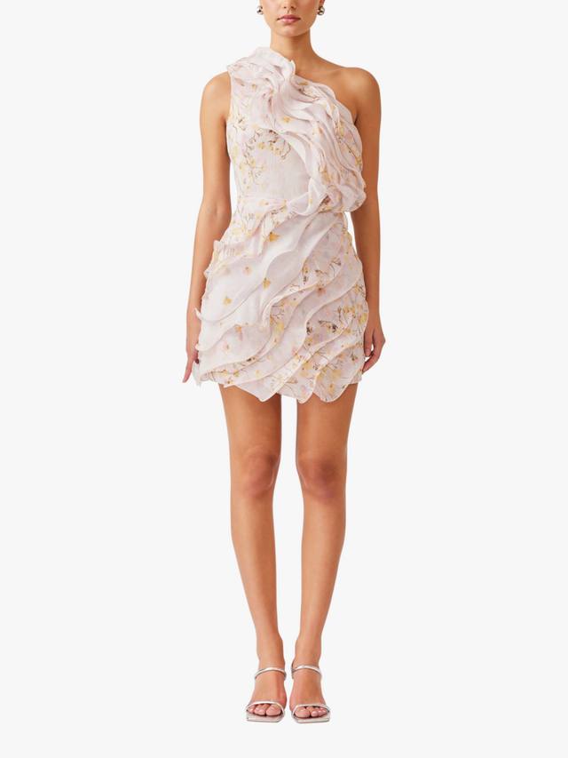 

Платье мини Tulsia с рюшами Elliatt, Pink/Multi