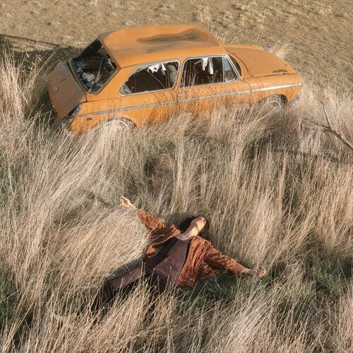 

Виниловая пластинка Rothman, Lawrence - Plow That Broke The Plains
